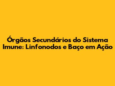 Órgãos Secundários do Sistema Imune: Linfonodos e Baço em Ação