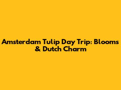Amsterdam Tulip Day Trip: Blooms & Dutch Charm