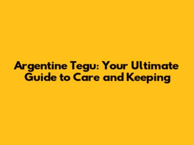 Argentine Tegu: Your Ultimate Guide to Care and Keeping