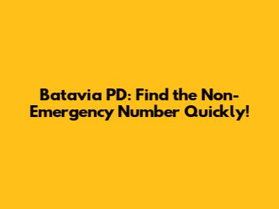 Batavia PD: Find the Non-Emergency Number Quickly!