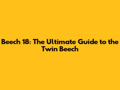 Beech 18: The Ultimate Guide to the Twin Beech