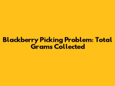 Blackberry Picking Problem: Total Grams Collected