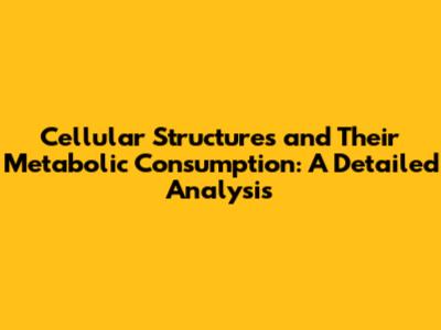 Cellular Structures and Their Metabolic Consumption: A Detailed Analysis
