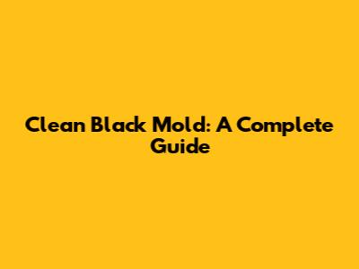 Clean Black Mold: A Complete Guide