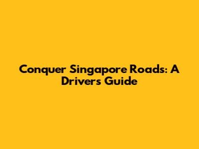 Conquer Singapore Roads: A Driver's Guide