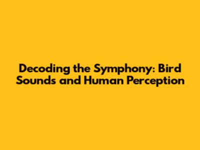 Decoding the Symphony: Bird Sounds and Human Perception