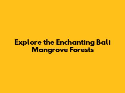 Explore the Enchanting Bali Mangrove Forests