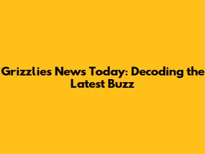 Grizzlies News Today: Decoding the Latest Buzz