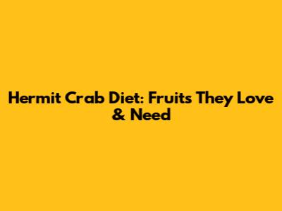 Hermit Crab Diet: Fruits They Love & Need
