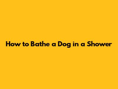 How to Bathe a Dog in a Shower