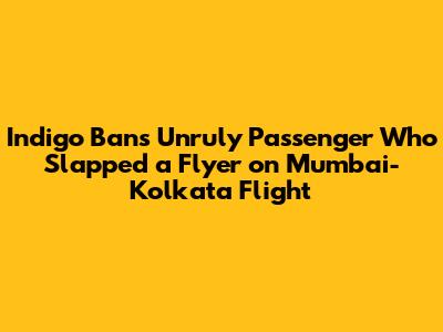 Indigo Bans Unruly Passenger Who Slapped a Flyer on Mumbai-Kolkata Flight