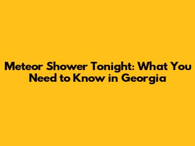 Meteor Shower Tonight: What You Need to Know in Georgia