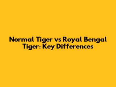 Normal Tiger vs Royal Bengal Tiger: Key Differences