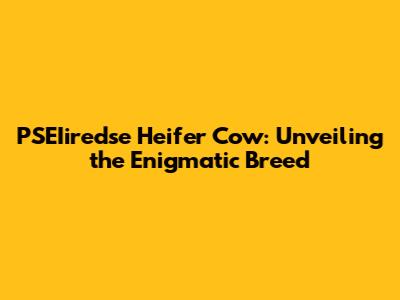 PSEIiredse Heifer Cow: Unveiling the Enigmatic Breed