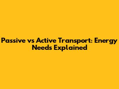 Passive vs Active Transport: Energy Needs Explained