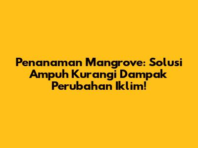 Penanaman Mangrove: Solusi Ampuh Kurangi Dampak Perubahan Iklim!