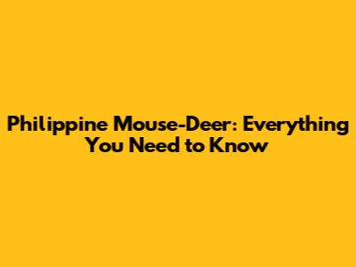 Philippine Mouse-Deer: Everything You Need to Know