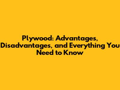 Plywood: Advantages, Disadvantages, and Everything You Need to Know