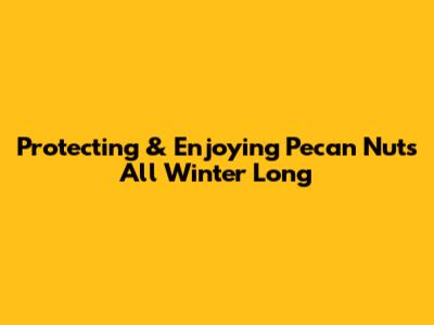 Protecting & Enjoying Pecan Nuts All Winter Long