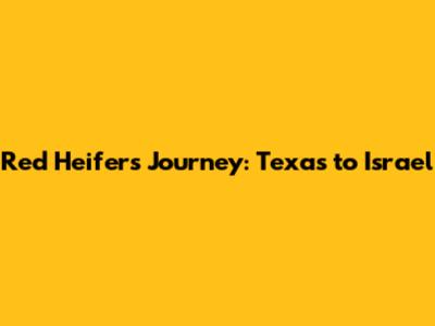 Red Heifers' Journey: Texas to Israel