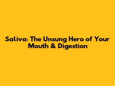 Saliva: The Unsung Hero of Your Mouth & Digestion