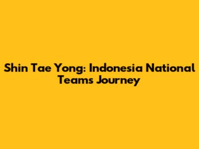 Shin Tae Yong: Indonesia National Team's Journey