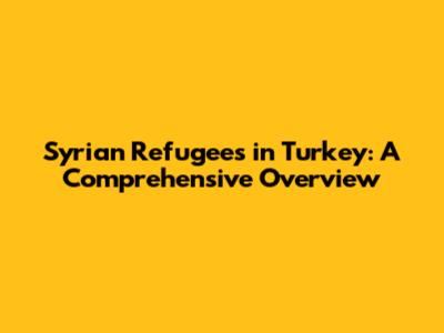 Syrian Refugees in Turkey: A Comprehensive Overview