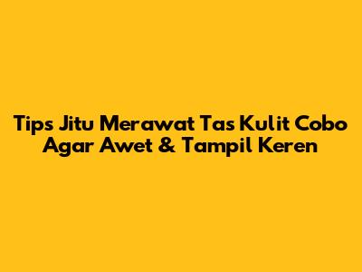 Tips Jitu Merawat Tas Kulit Cobo Agar Awet & Tampil Keren