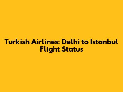 Turkish Airlines: Delhi to Istanbul Flight Status