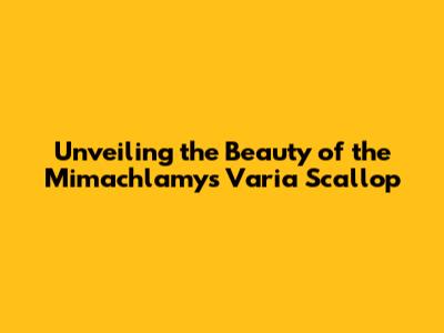Unveiling the Beauty of the Mimachlamys Varia Scallop