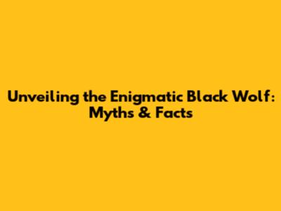 Unveiling the Enigmatic Black Wolf: Myths & Facts